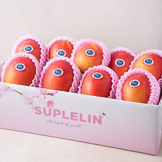 수플린 대만 애플망고 실속세트, 3kg(8~9입), 1박스