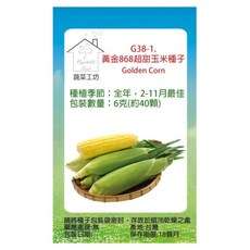蔬菜工坊 黃金868超甜玉米種子 G38-1 40顆, 1個