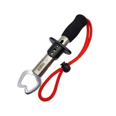 데스페라도립그립