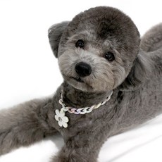 고양이팬던트목걸이