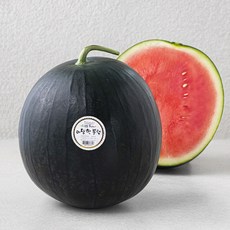 생거진천 아담한 블랙 수박, 1.5kg 이상, 1개