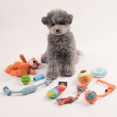 DING DONG PET 狗狗柔軟狐狸毛線玩具 9種組, 1組, 混色