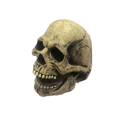 01ca53e3d21741acba20276326502bc8.png