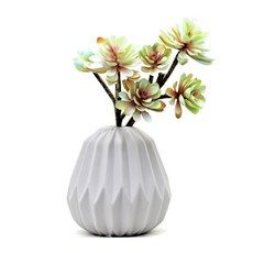 Garden in the City 多肉植物2P, 混色, 1個