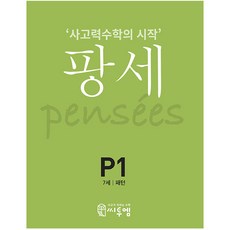 팡세 P-1 패턴, 씨투엠에듀