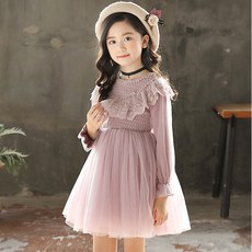 아이샤의복수