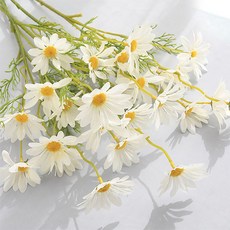 홈플로우 국화 데이지 조화 다발, 화이트, 5개 화이트, 5개