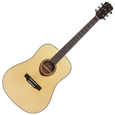 dexterGUITARS 통기타 풀 패키지 D-9, NATURAL GLOSS