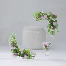 노란목향장미