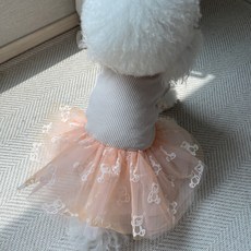 이쁘댕