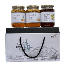 이고장식품 약도라지 꿀청 3종 선물 세트, 약도라지꿀청 500g x 2p + 생강총백꿀청 500g, 1세트