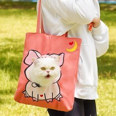 파스텔펫 반려동물 피그 캐릭터 이동가방, 혼합색상, 1개
