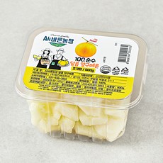 All바른농장 달콤 양구메론, 500g, 1개