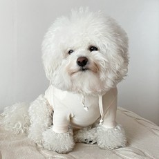 Grooming Dog 基本款 Juri 狗連帽衫, 象牙
