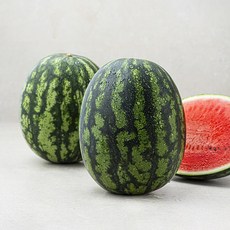 산지직송 드림팜 소스위트 수박, 1.5kg 이상, 2통