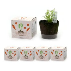 팜팜농장관찰일지