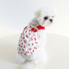 칠시 반려동물 체리 나시 캉캉 원피스, 체리나시