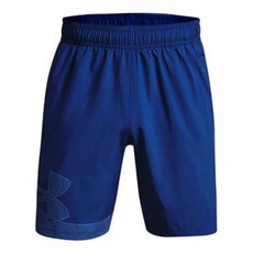 Under Armour 安德瑪 Woven Graphic 男款短褲, 藍色, M