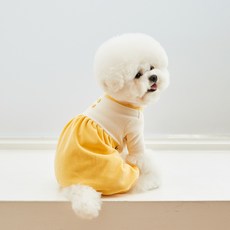 스니프올인원