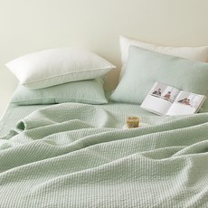 이브정원피그먼트