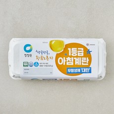 청정원 무항생제 인증 1등급 아침대란 520g, 1개, 10구 1개, 10구