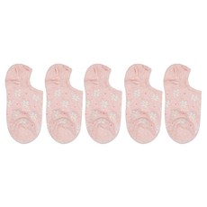 롱니삭스