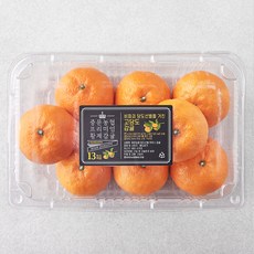 중문농협 당도선별 황제 카라향, 1.4kg(중과, 6~9입), 1개