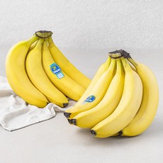 치키타 코스타리카산 바나나, 2.5kg, 1개