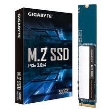 기가바이트 M.2 SSD, GM2500G, 500GB