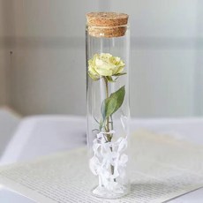 새로그린 성묘꽃 봉안당 장식 캡슐꽃, NO4, 1개