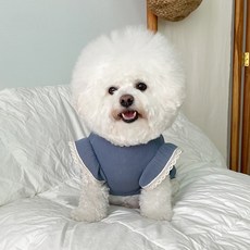 바이담수미 강아지 여리 이브닝 원피스, 블루, 1개