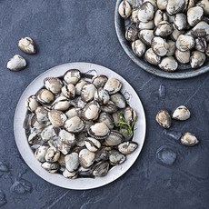 바다자리 생물 새꼬막 (냉장), 1.5kg, 1팩