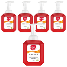 美琪 抗菌洗手慕斯, 泡沫綿密 清新味道 去除手部異味 品質有保障, 500ml, 5瓶