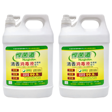HungindoN 悍菌遁 清香消毒液，3.785公升，殺菌消毒防黴, 3.785L, 2桶