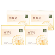 里仁 Leezen 柚籽皂, 植物皂基 溫和潔淨 100g, 4個