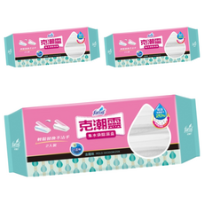 farcent 花仙子 克潮靈 集水袋除濕盒 去霉味 除溼量400ml 2入, 360g, 3包