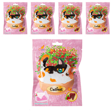Catfeet 呼嚕愛乾淨 蔓越莓化毛潔牙餅, 雞肉風味, 60g, 雞肉, 5包