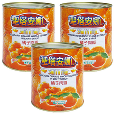 SAnTA AnA 聖塔安娜 橘子肉瓣, 輕糖漿罐頭, 富含維他命C, 850公克, 850g, 3罐