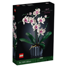 LEGO 樂高10311 ICONS系列 創意系列 蘭花積木玩具，精緻盆栽模型，18歲+適用, 蘭花 Orchid, 1盒
