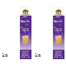 SUNLIFE 森萊富 維他命鎂Mg+B6 橘子口味, 20顆, 80g, 2盒
