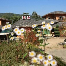 휘닉스평창블루캐니언