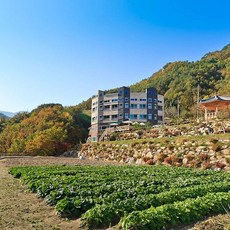 추천6강릉숙소