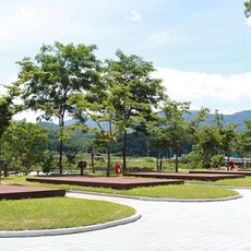 송지호해수욕장서핑