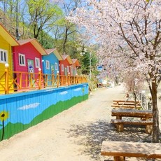 홍천알파카월드