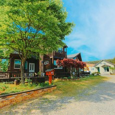 신진도