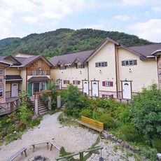 전북남원홍망고