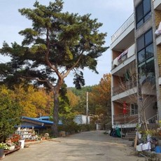 팔미도유람선쭈꾸미