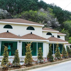 드위트리펜션