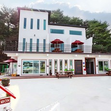강릉애견동반해수욕장