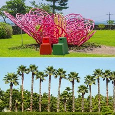 카멜리아힐동백오일
